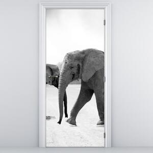 Fototapet pentru ușă - Elefanți alb negru (95x205cm)