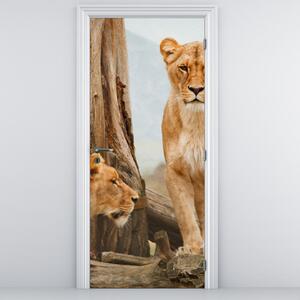 Fototapet pentru ușă - Două leoaice (95x205cm)