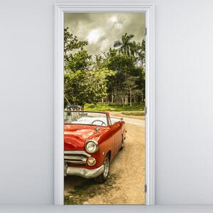 Fototapet pentru ușă - Mașină în natură (95x205cm)