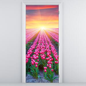 Fototapet pentru ușă - Câmp cu lalele și soare (95x205cm)