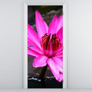 Fototapet pentru ușă - Floare roz (95x205cm)