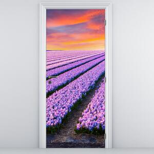 Fototapet pentru ușă - Fermă de flori (95x205cm)