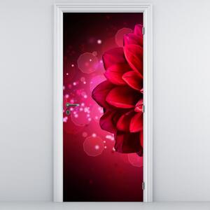 Fototapet pentru ușă - Floare roșie (95x205cm)