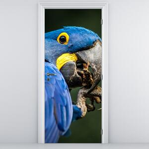 Fototapet pentru ușă - Papagal (95x205cm)