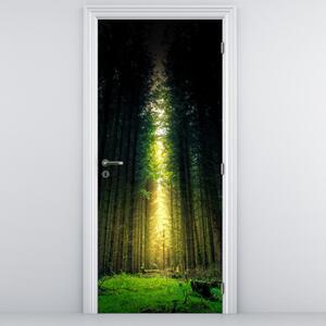 Fototapet pentru ușă - Pădurea Întunecată (95x205cm)