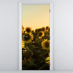 Fototapet pentru ușă - Câmpul cu floarea soarelui (95x205cm)