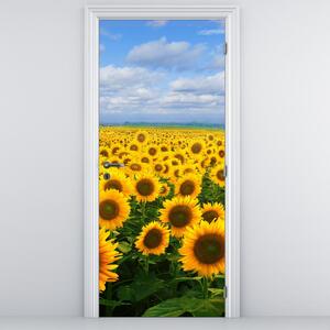 Fototapet pentru ușă - Câmp cu floare soarelui (95x205cm)