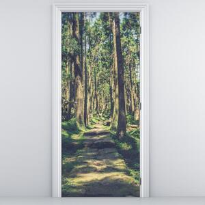 Fototapet pentru ușă - Drum între copaci (95x205cm)