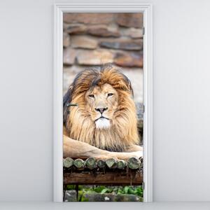 Fototapet pentru ușă - Leul (95x205cm)