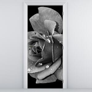 Fototapet pentru ușă - Trandafir alb-negru (95x205cm)
