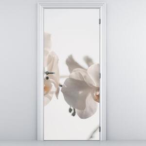 Fototapet pentru ușă - Orhideia albă (95x205cm)