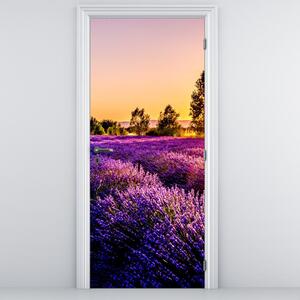 Fototapet pentru ușă - Câmpul cu lavandă (95x205cm)