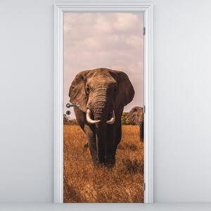 Fototapet pentru ușă - Sosirea elefantului (95x205cm)