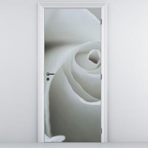 Fototapet pentru ușă - Trandafir alb (95x205cm)