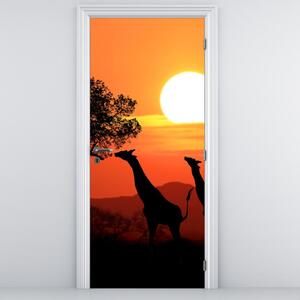 Fototapet pentru ușă - Girafele la apus (95x205cm)