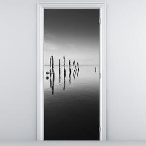 Fototapet pentru ușă - Oglinda apei alb-negru (95x205cm)