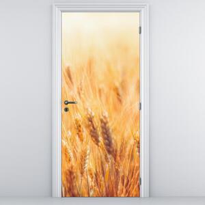 Fototapet pentru ușă - câmp cu cereale (95x205cm)