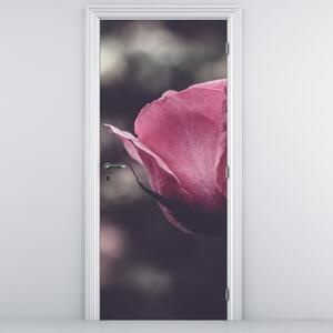 Fototapet pentru ușă - floare în prim plan (95x205cm)
