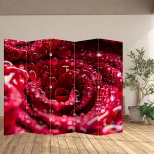 Paravan - floarea trandafirului roșu (210x170 cm)