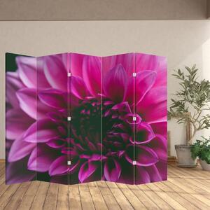 Paravan - floarea roz (210x170 cm)