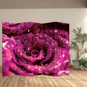 Paravan - Floarea trandafirului roz (210x170 cm)