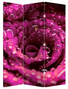 Paravan - Floarea trandafirului roz (126x170 cm)