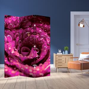 Paravan - Floarea trandafirului roz (126x170 cm)
