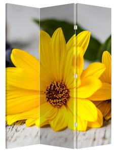 Paravan - Floare galbenă (126x170 cm)