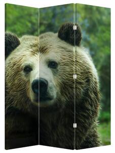 Paravan - Ursul (126x170 cm)