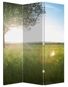 Paravan - Lunca în vară (126x170 cm)