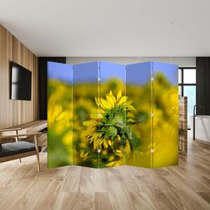 Paravan - Floarea soarelui (210x170 cm)