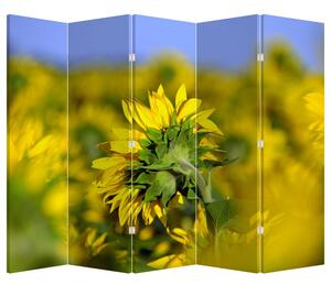 Paravan - Floarea soarelui (210x170 cm)