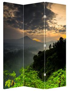 Paravan - Peisaj montan verde (126x170 cm)