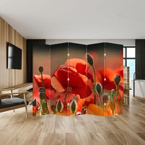 Paravan - Flori de maci (210x170 cm)