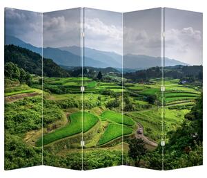 Paravan - Câmp de orez (210x170 cm)