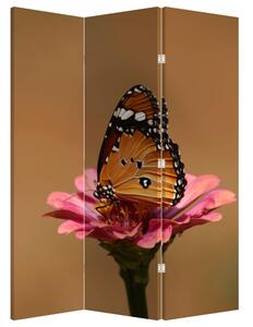 Paravan - Fluture pe floare (126x170 cm)