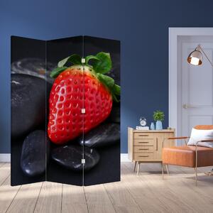 Paravan - Căpșună (126x170 cm)