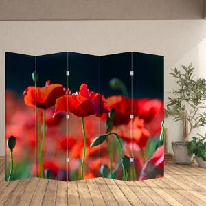 Paravan - Flori de maci (210x170 cm)