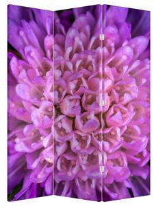 Paravan - Floare detailat (126x170 cm)