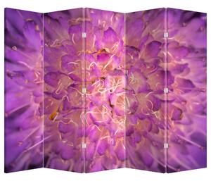 Paravan - Floare detailat (210x170 cm)