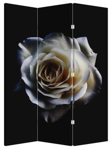 Paravan - Trandafir alb (126x170 cm)