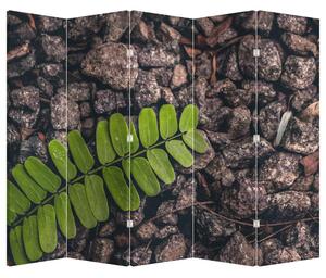 Paravan - Planta verde (210x170 cm)
