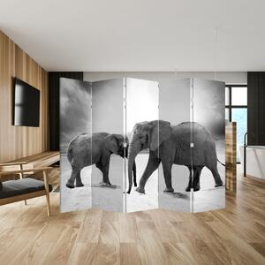 Paravan - Elefanții alb negri (210x170 cm)