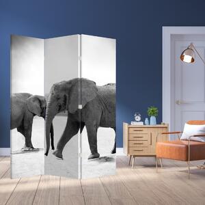 Paravan - Elefanții alb negri (126x170 cm)