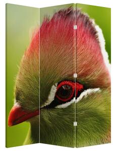 Paravan - Pasărea colorată (126x170 cm)