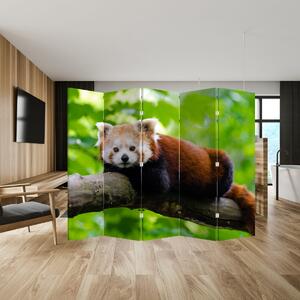 Paravan - Panda roșie (210x170 cm)