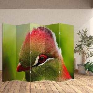 Paravan - Pasărea colorată (210x170 cm)
