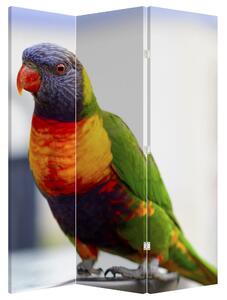 Paravan - Papagal (126x170 cm)