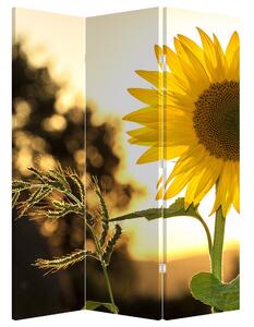 Paravan - Floarea soarelui (126x170 cm)