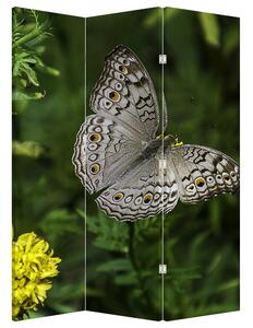 Paravan - Fluture alb (126x170 cm)